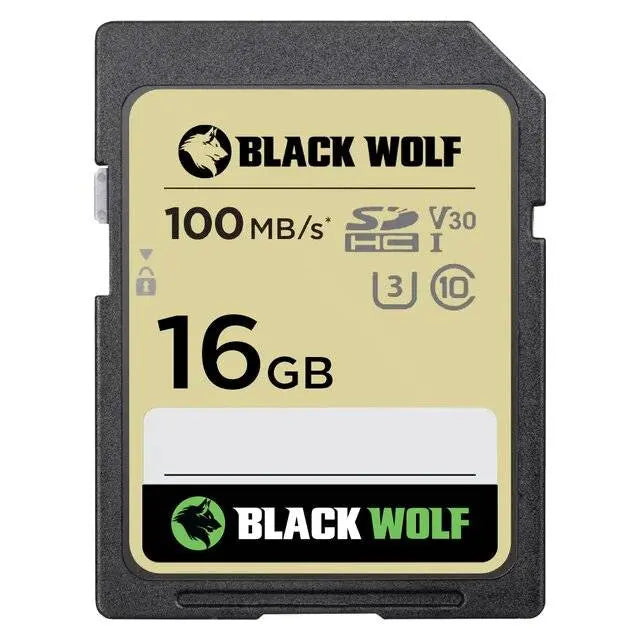 Black Wolf : SDXC Card (16GB)  المتحدة للألكترونيات