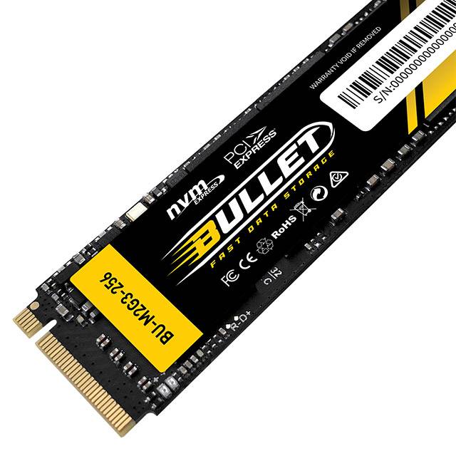 Bullet : M.2 (2280) NVMe PCIe [Gen3x4] (256GB) هارد