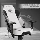 Cybeart House Stark Gaming Chair – Game of Thrones Edition with 4D Armrests, Supreme PU Leather