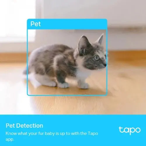 Tapo C225 Pan/Tilt AI Home Security Wi-Fi Camera كامرة تابو - المتحدة للألكترونيات