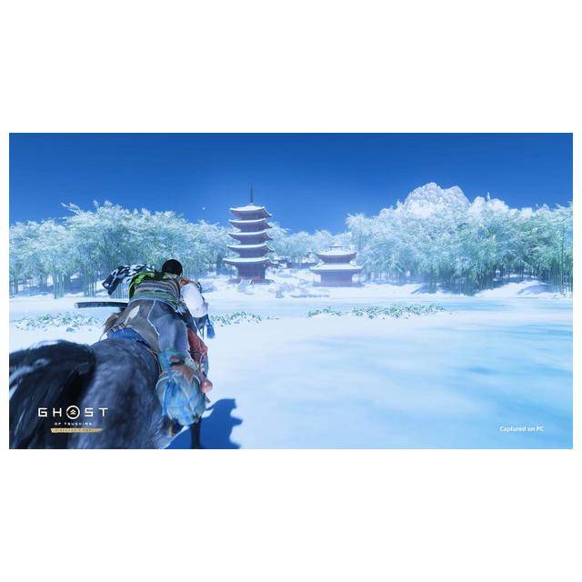 Ghost of Tsushima: Director's Cut / (PS5)