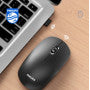 Philips SPK7315 2.4G Wireless